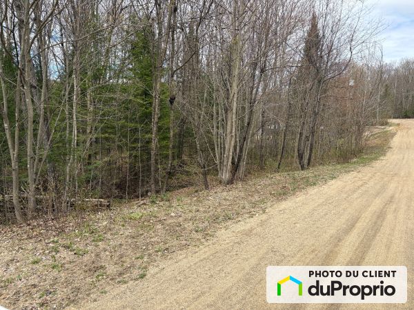 , chemin du Domaine-Pépin, Amherst à vendre