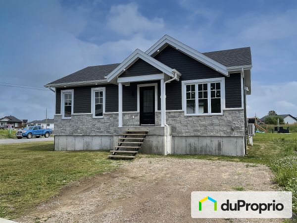 132 rue Fiset, St-Basile-De-Portneuf for sale