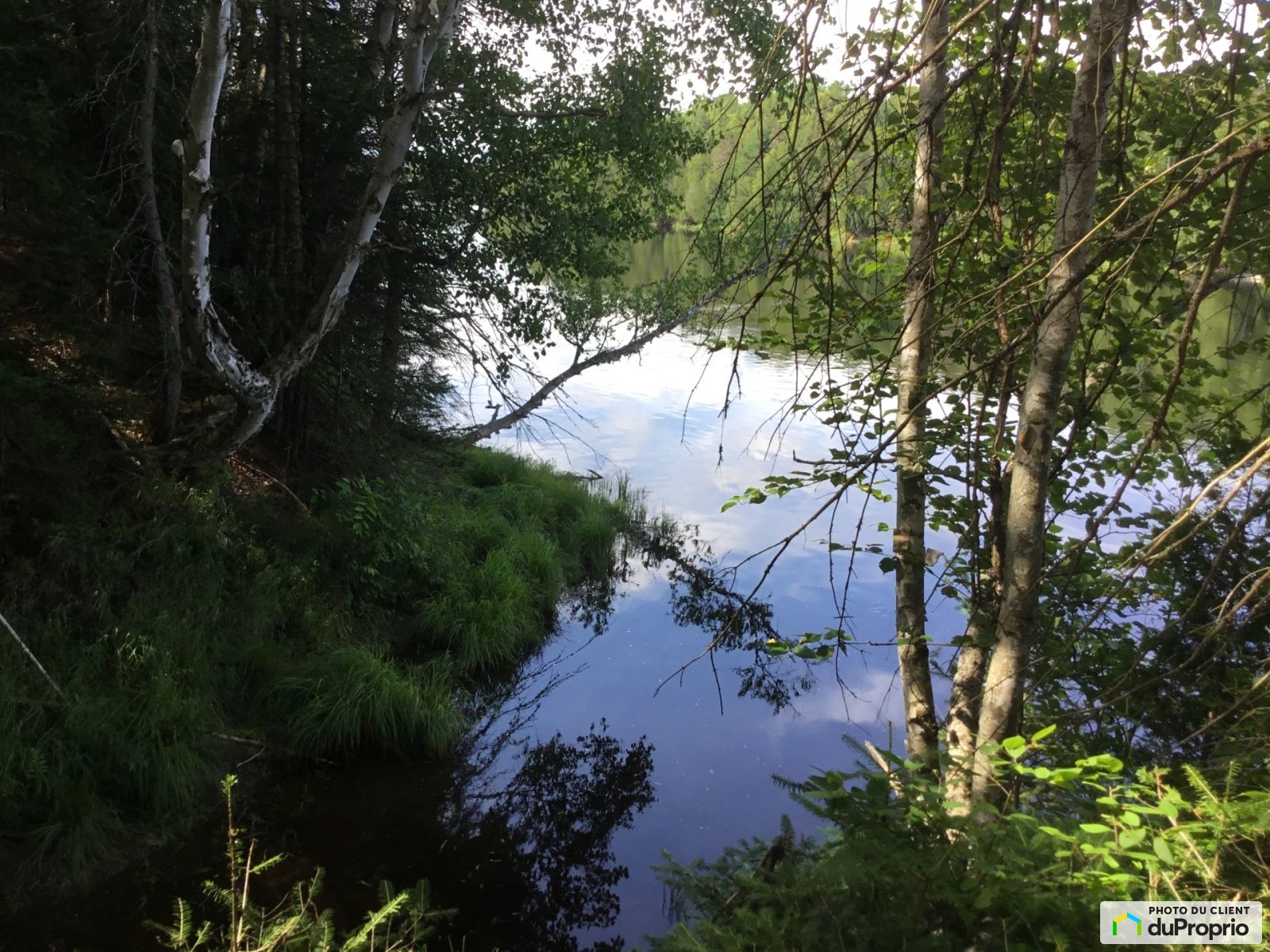 40 Chemin Parise — photo 1
