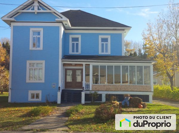 213, avenue Ulric-Tessier, St-Ulric à vendre