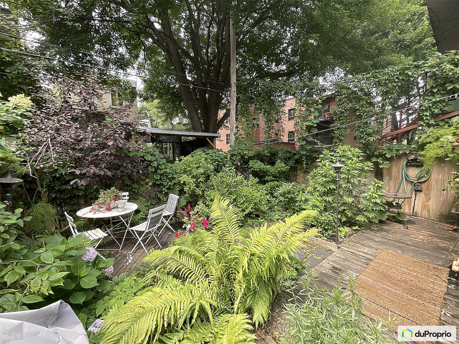 1078 Rue Dorion — photo 3