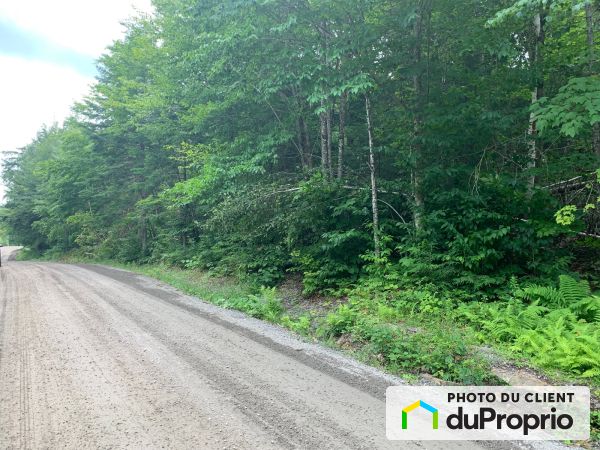 chemin des Maroniers, La Conception à vendre