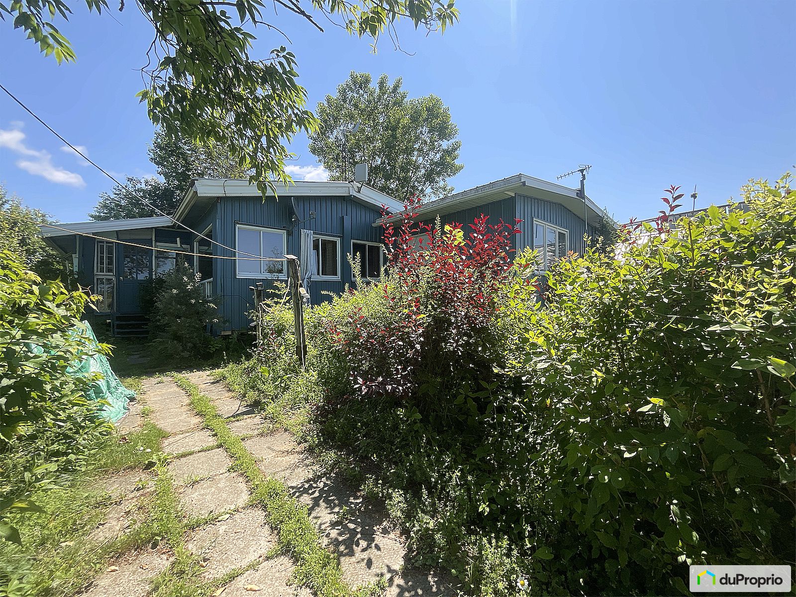 10 Chemin Viola — photo 3