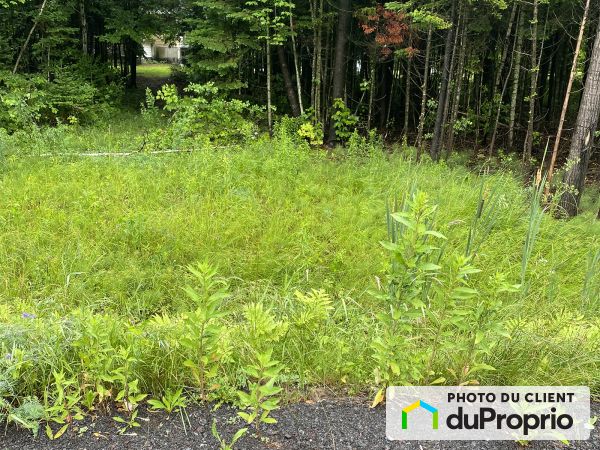 758 rue des Érables, Val-Alain for sale