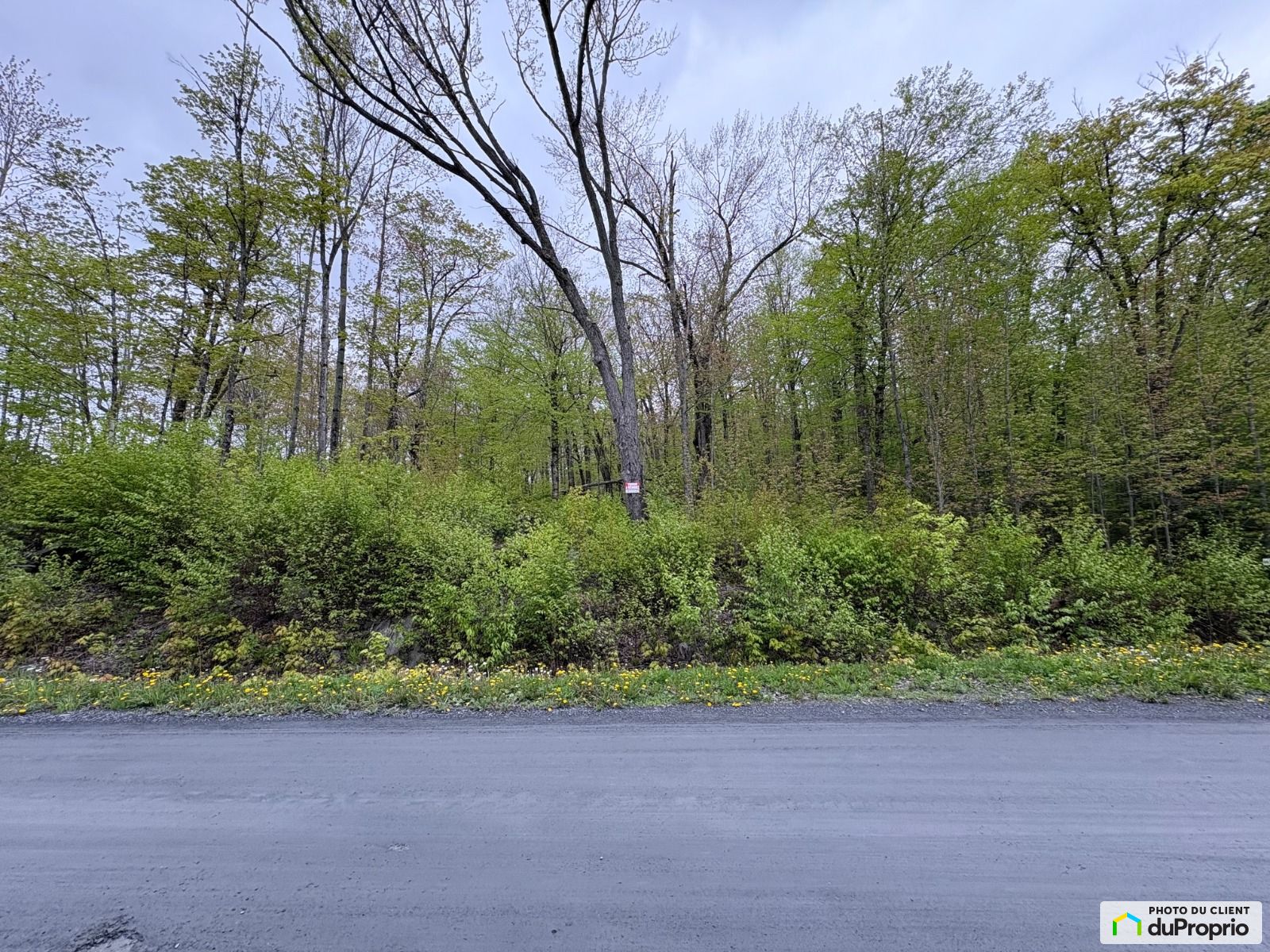 610 Rue Du Lac Sartigan — photo 1