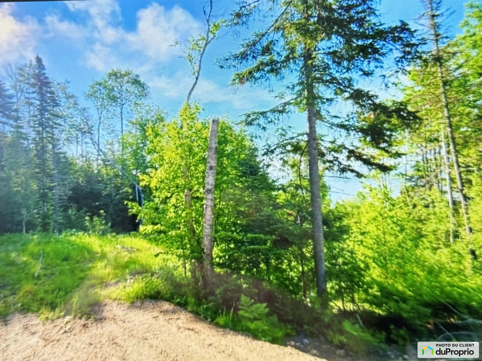 461 Chemin Catherine Delzenne — photo 3