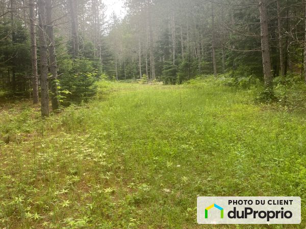 1900, chemin du Village, Mont-Tremblant à vendre