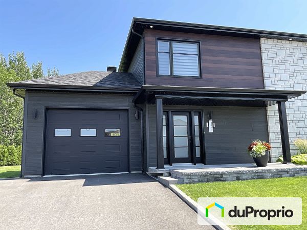 1265 avenue Papineau, Alma à vendre