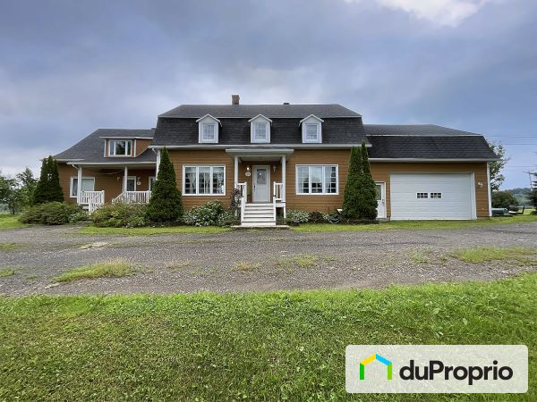 95-97, chemin de la Rivière-du-Sud, St-François-De-La-Rivière-Du-Sud à vendre