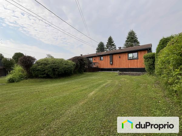 Cour arrière - 56 rue blais, St-Étienne-De-Lauzon à vendre