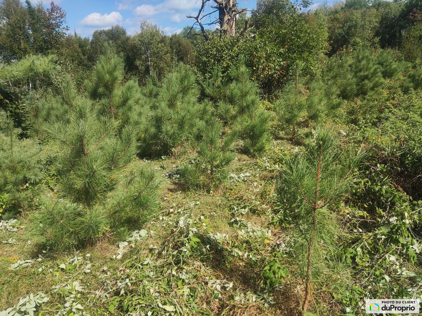 240 Route 105 — photo 1