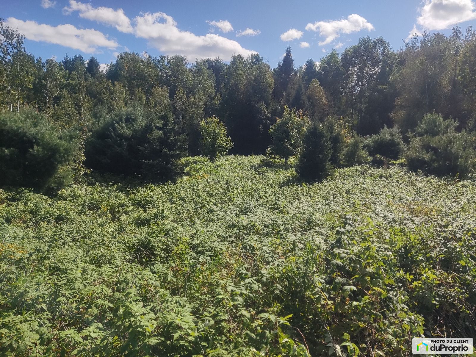 240 Route 105 — photo 1