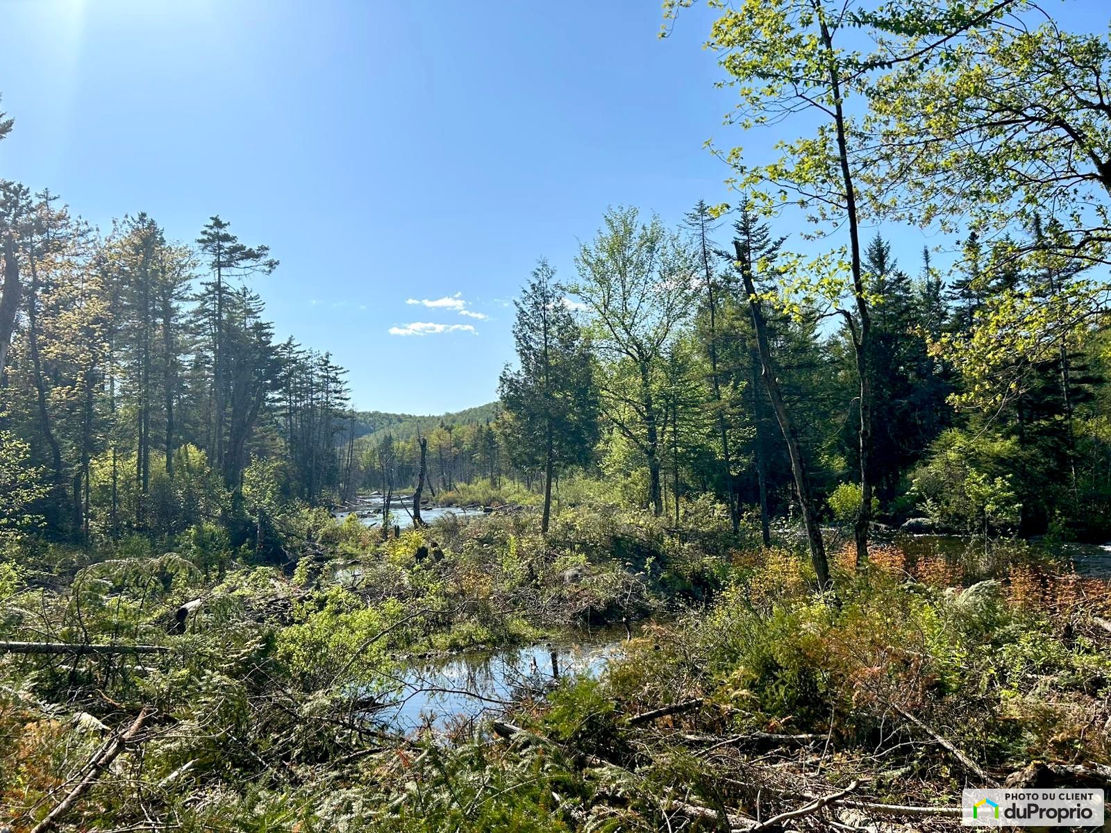 Chemin Du Lac Brule — photo 2