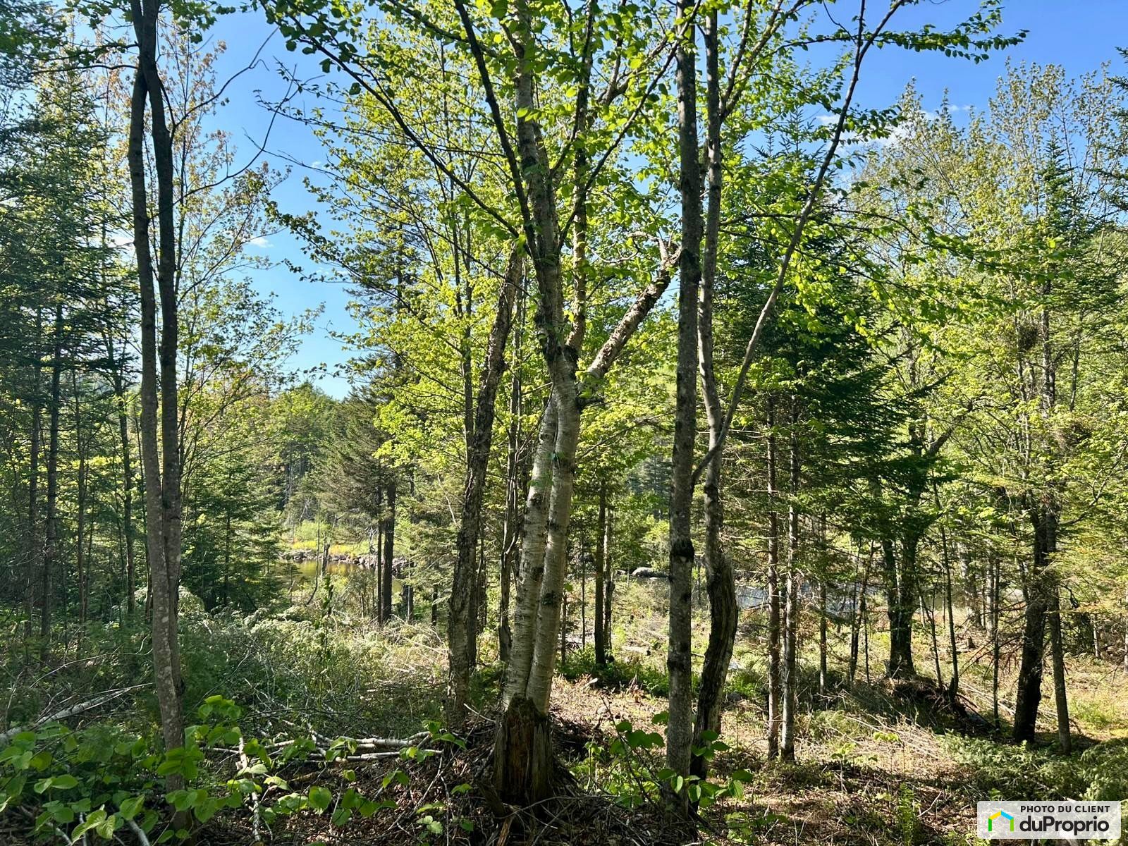 Chemin Du Lac Brule — photo 3