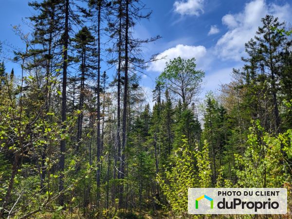 1231 route de la Traverse, Lac-Aux-Sables for sale