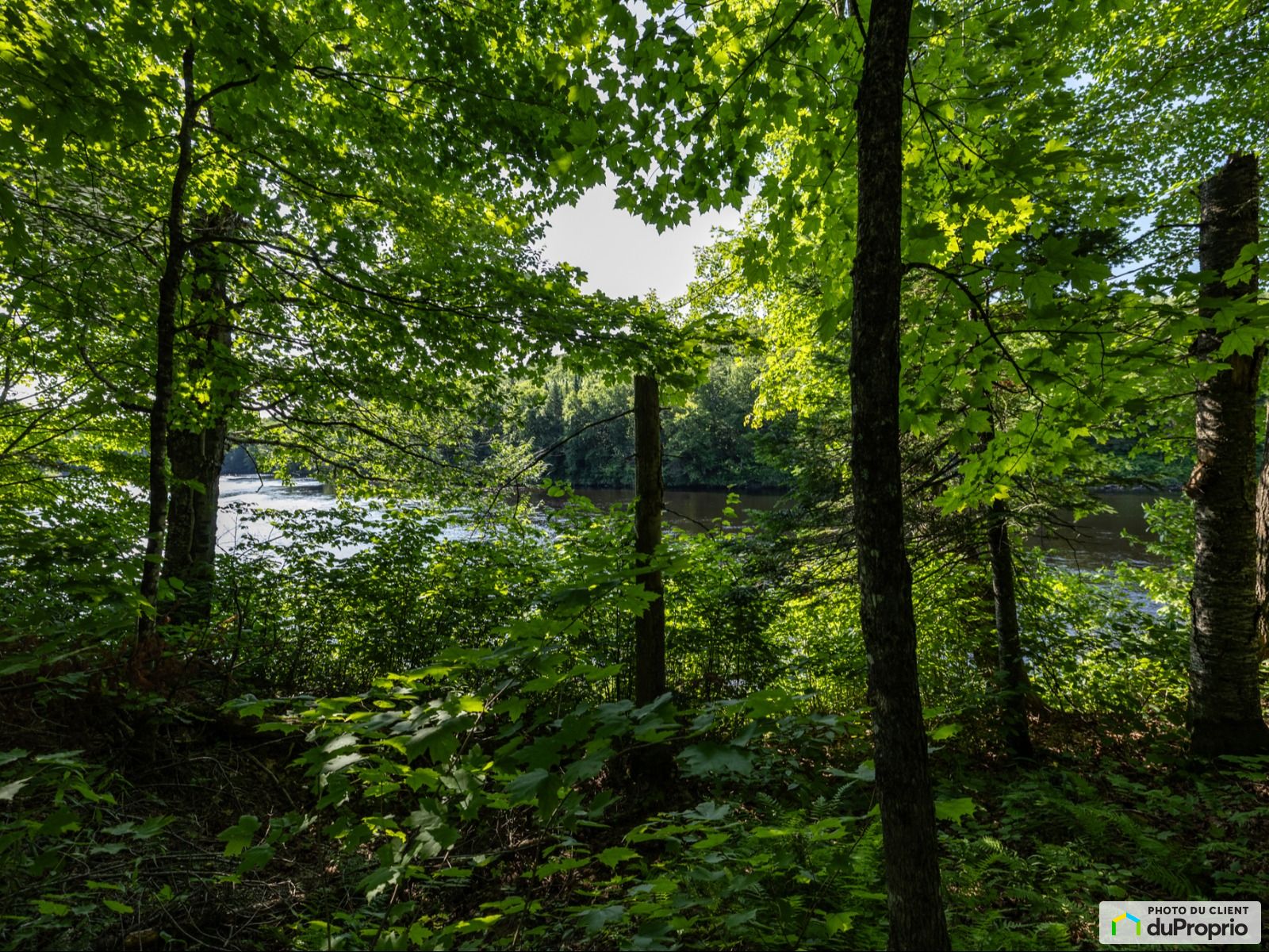7 Chemin De La Batiscan — photo 2