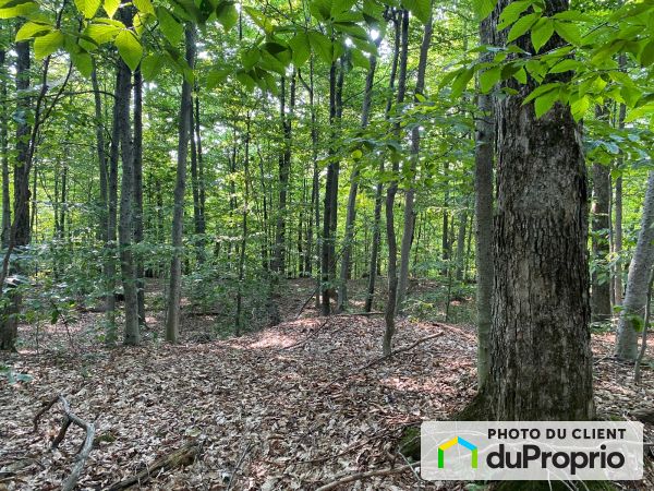 chemin Braemar, Gore for sale