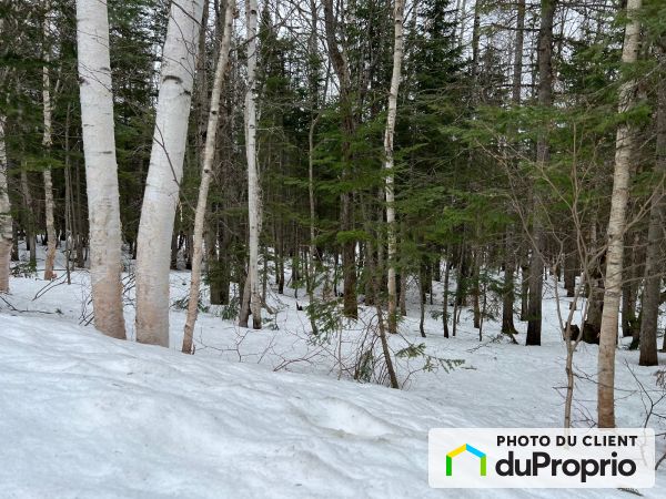 10-12 rang Saint-Hilaire sud, St-Magloire-De-Bellechasse à vendre