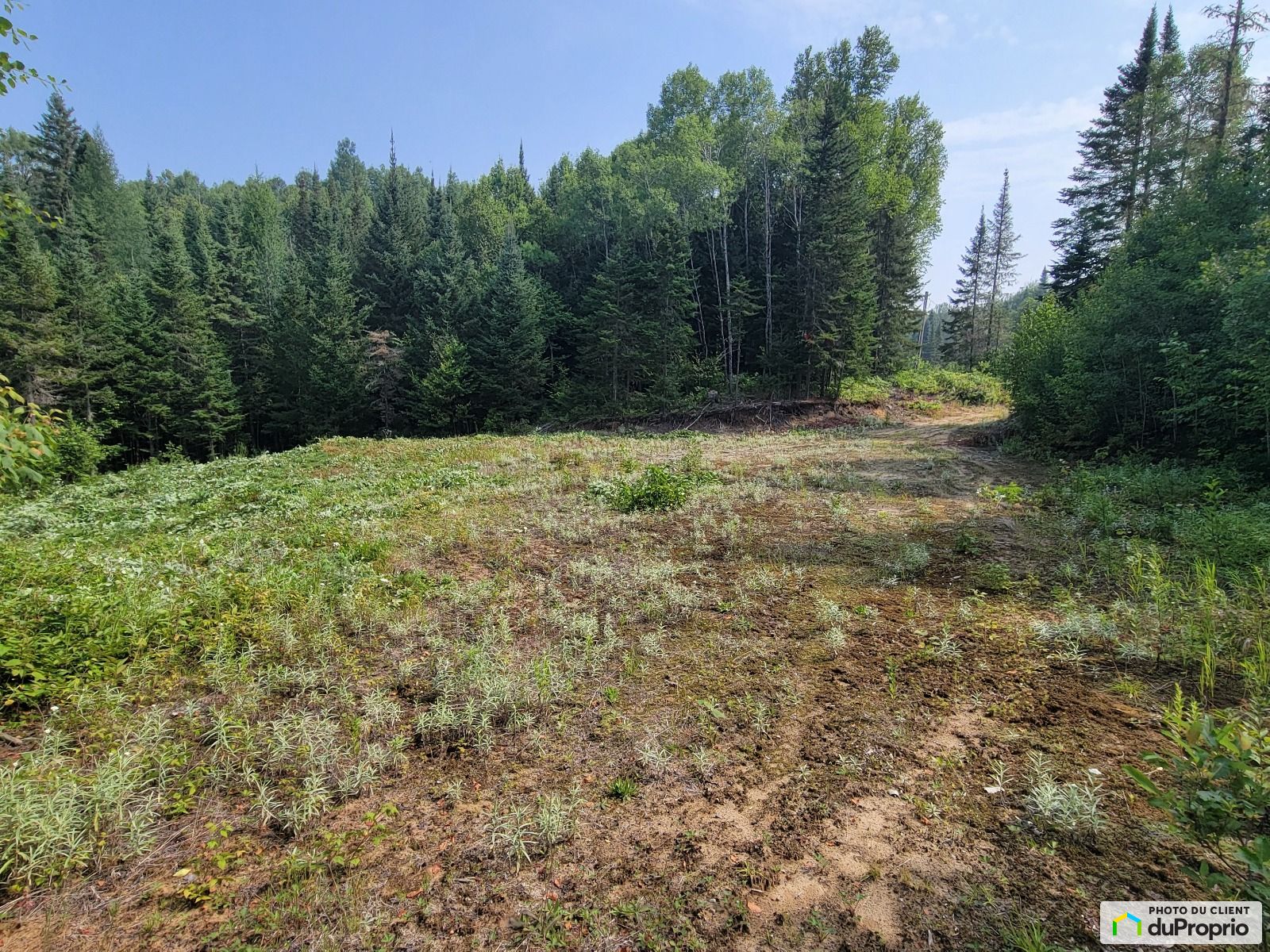 Chemin Des Cousins — photo 3
