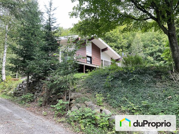 368 route Principale, Val-Des-Monts (St-Pierre-de-Wakefield) à vendre