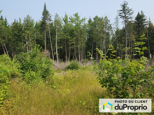 rue Leblanc, St-Cuthbert à vendre