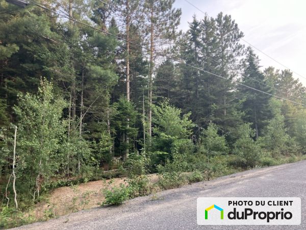 route Gélinas, Ste-Christine-D&#39;Auvergne à vendre