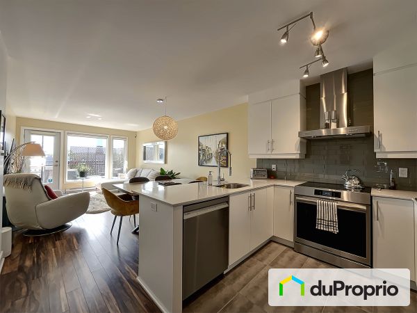 Overall View - 8-2232 rue Théodore, Mercier / Hochelaga / Maisonneuve for sale