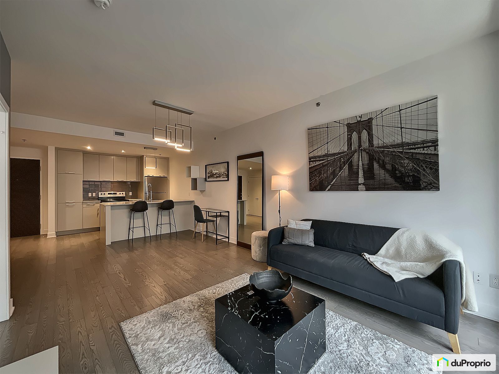 501 315 Rue Richmond — photo 1