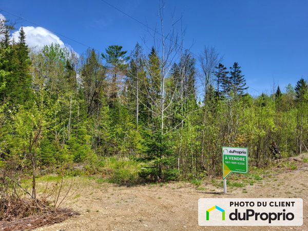 1231, route de la Traverse, Lac-Aux-Sables for sale