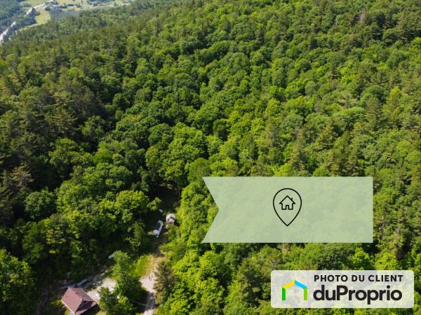 10, chemin Angèle, La Pêche (Wakefield) à vendre