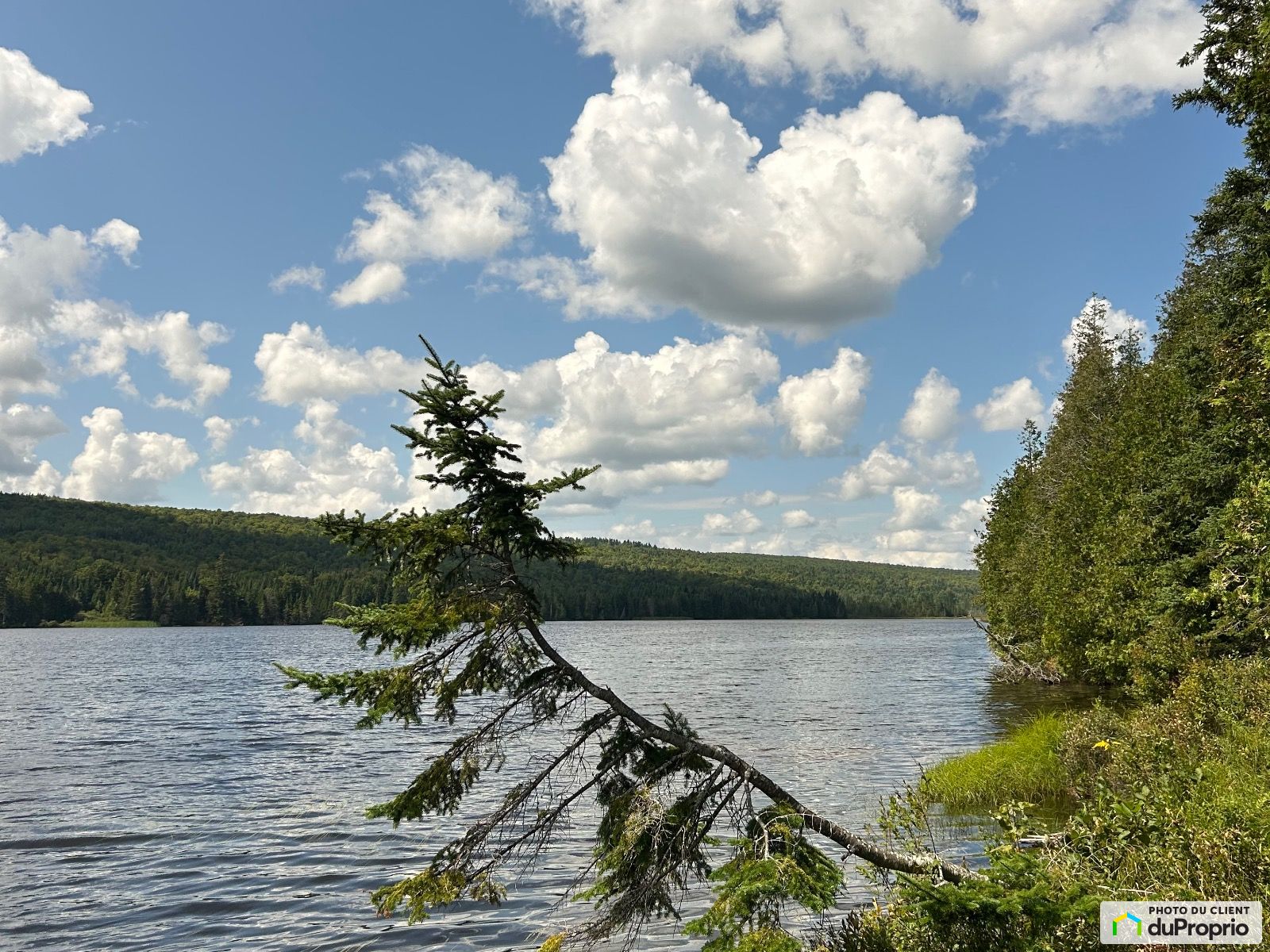 Chemin Du Lac Mckenzie — photo 3