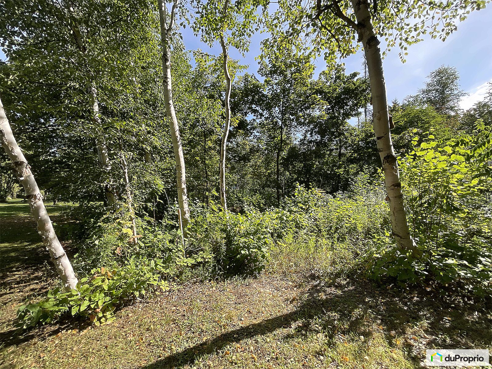Route Gauthier Est — photo 3