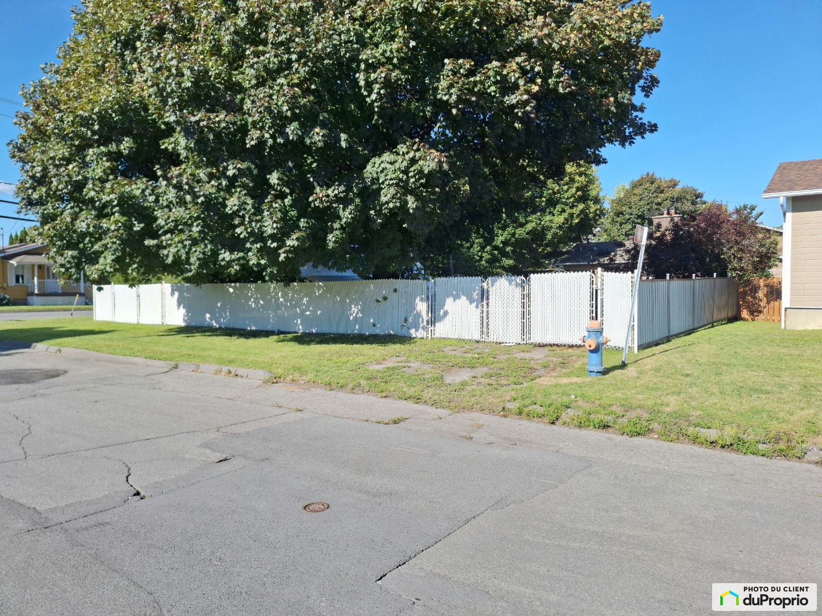 364 Rue Saint Thomas — photo 3