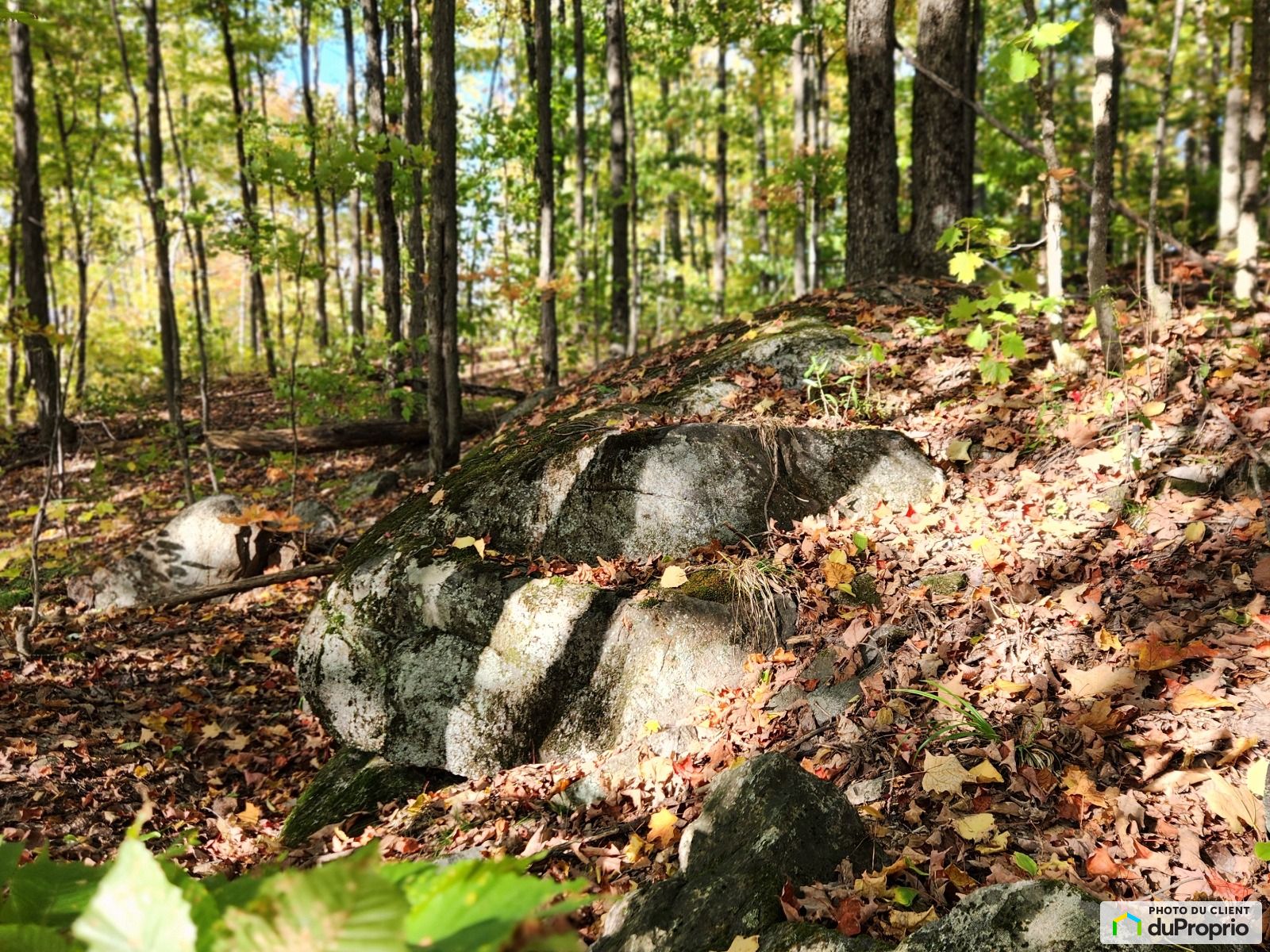 17 Chemin Du Lac Bois Franc — photo 2