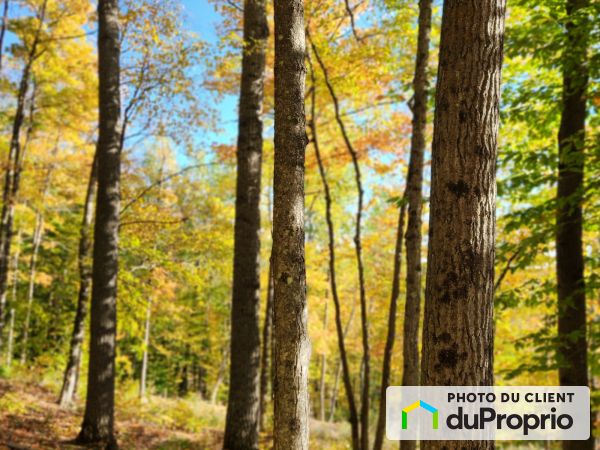 17 chemin du Lac-Bois-Franc, Val-Des-Monts (St-Pierre-de-Wakefield) for sale