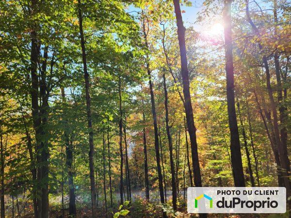 17 chemin du Lac-Bois-Franc, Val-Des-Monts (St-Pierre-de-Wakefield) à vendre