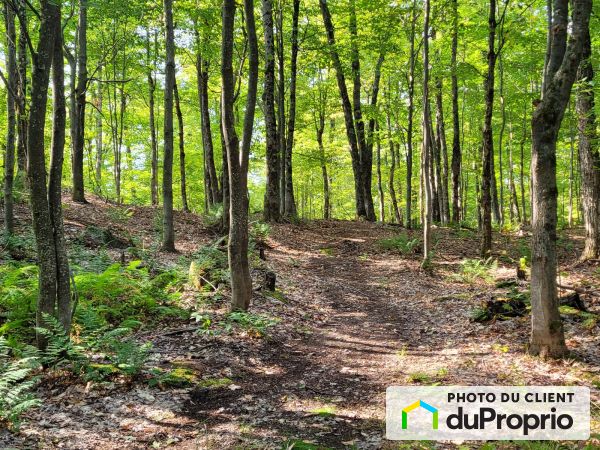 42, rue des Outardes, Morin-Heights à vendre