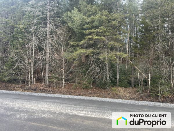 25 rue Des Sources, Ste-Catherine-De-Hatley for sale