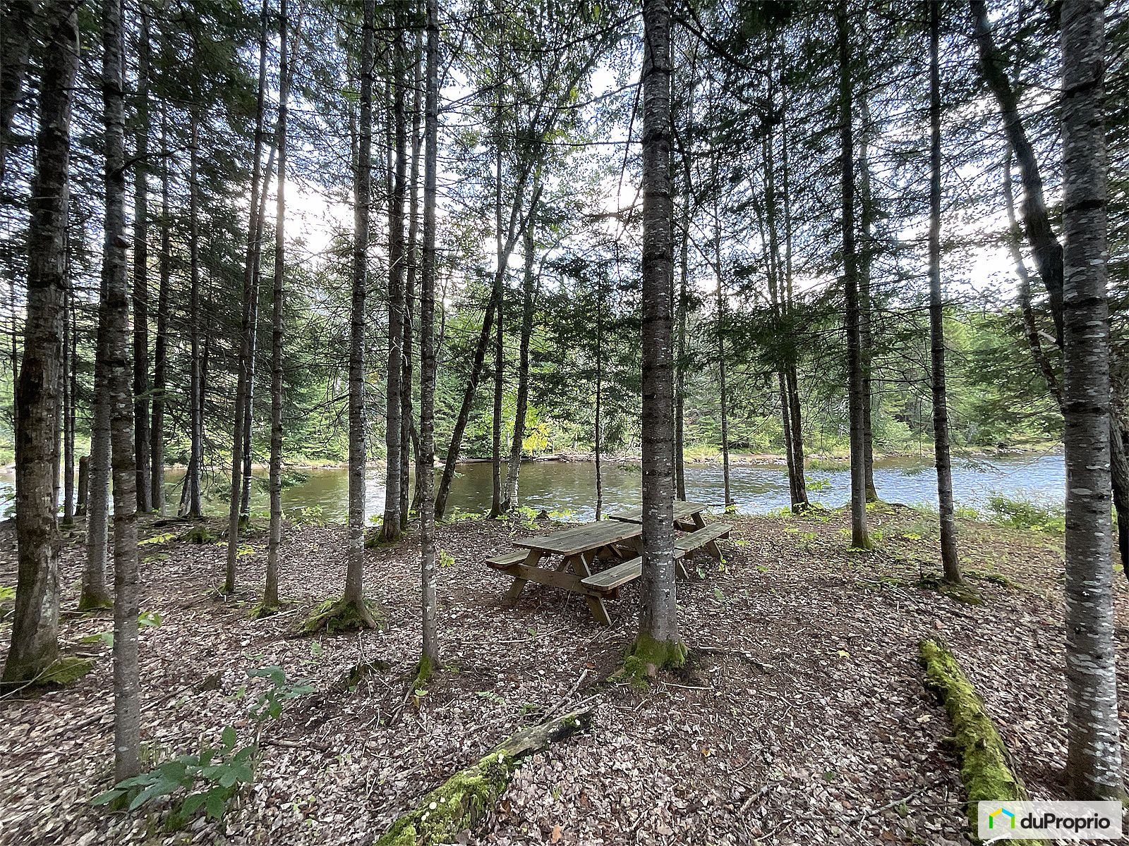 Chemin Duplessis — photo 3