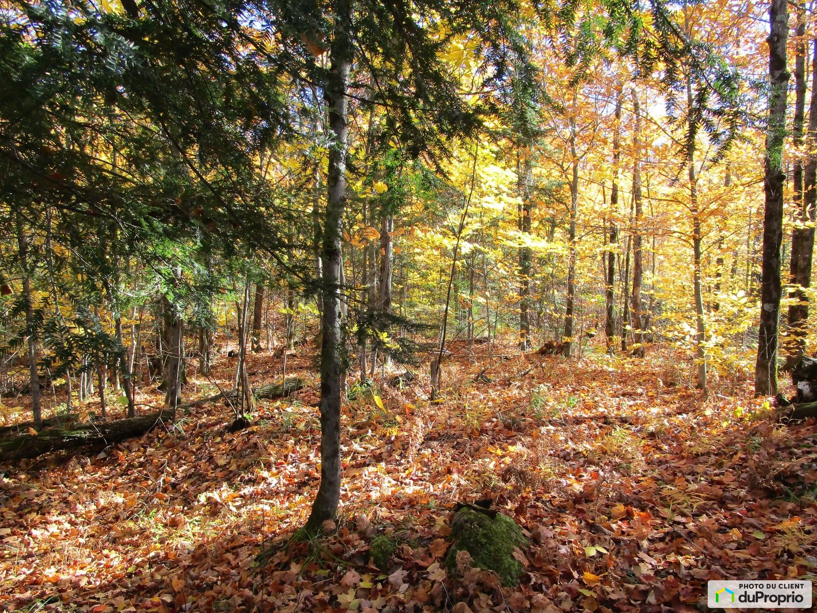 Chemin Du Sommet De La Vallee — photo 3