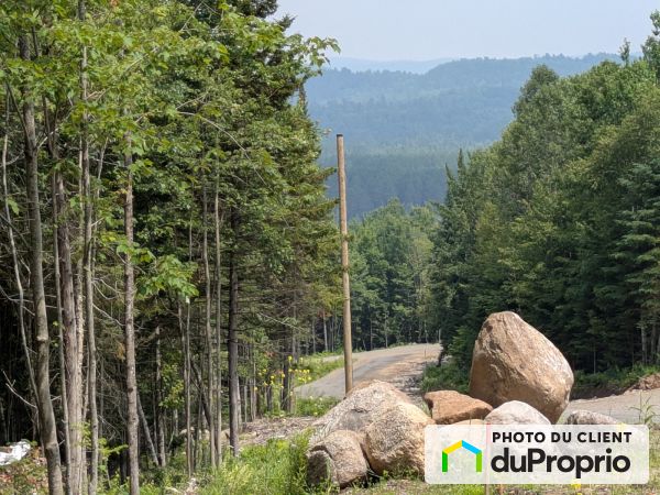 Vue sur montagnes - 10, rue Bach, St-Alexis-Des-Monts à vendre