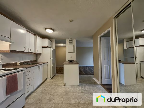 208-23, rue de la Soeur-Jeanne-Marie-Chavoin, Gatineau (Hull) à vendre