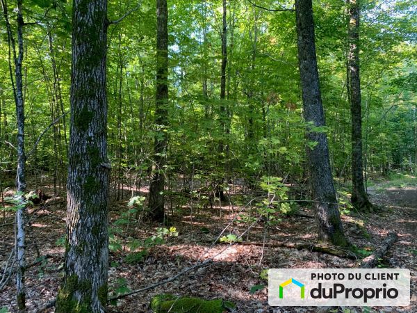  chemin Chapleau, Kiamika for sale