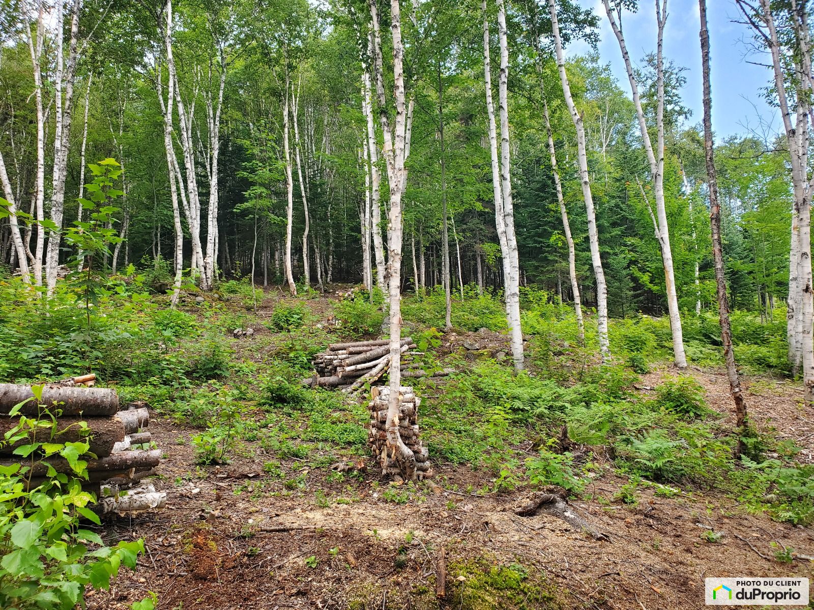 18 Chemin De Lhorizon Boise — photo 2