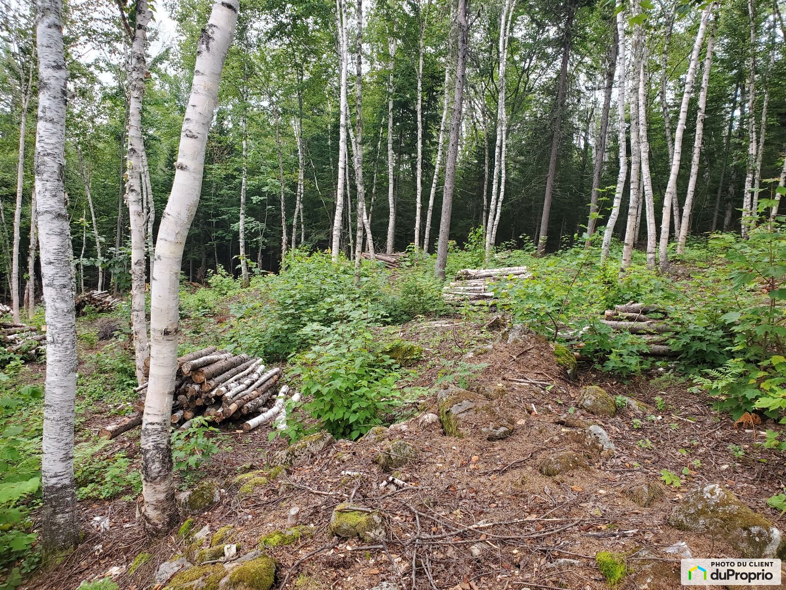 18 Chemin De Lhorizon Boise — photo 3