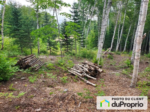 18, chemin de l&#39;Horizon-Boisé, Baie-St-Paul à vendre