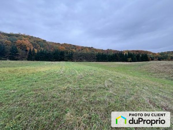 , chemin Thomas Nord, ND-De-La-Salette à vendre