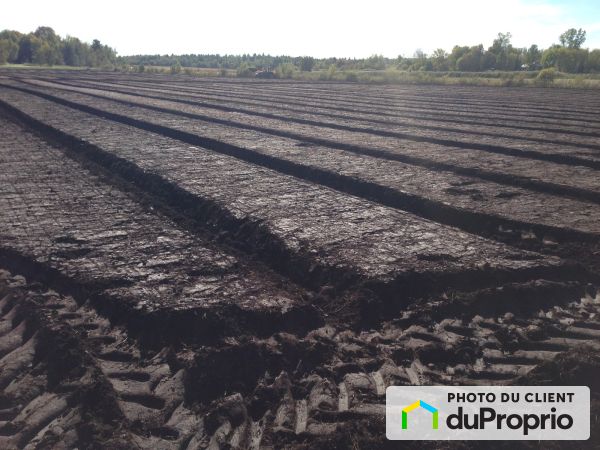 193 route 202, Hemmingford for sale