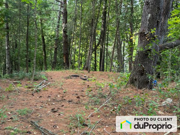 14, impasse des Pionniers, Cantley à vendre