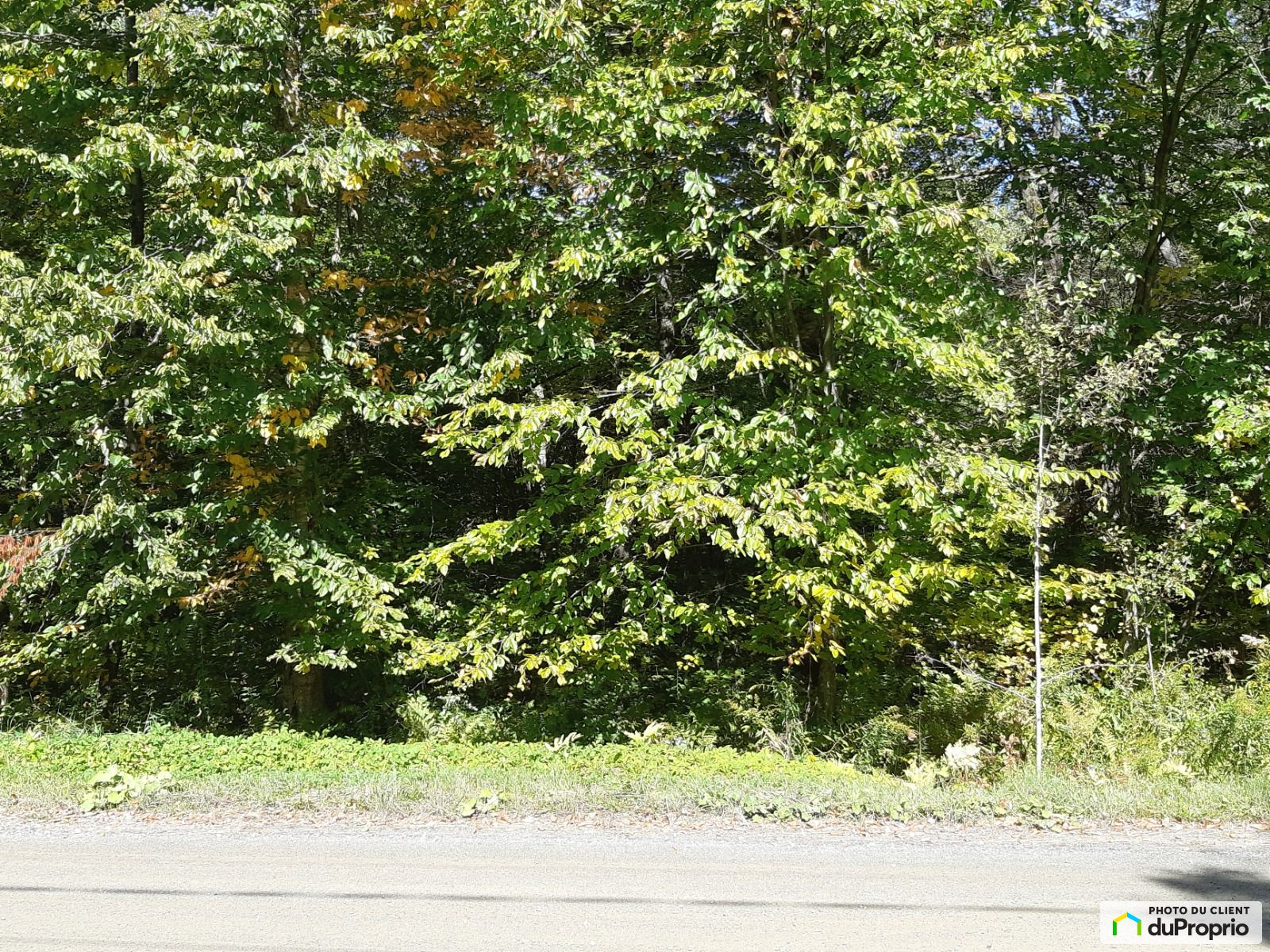101 Chemin Rousseau — photo 2